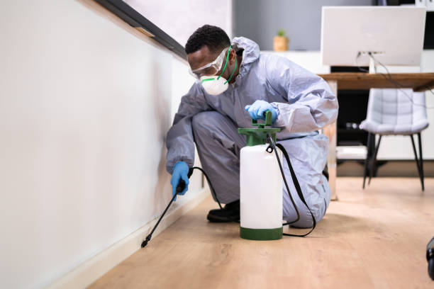 Real Estate Pest Inspections in Allen Park, MI